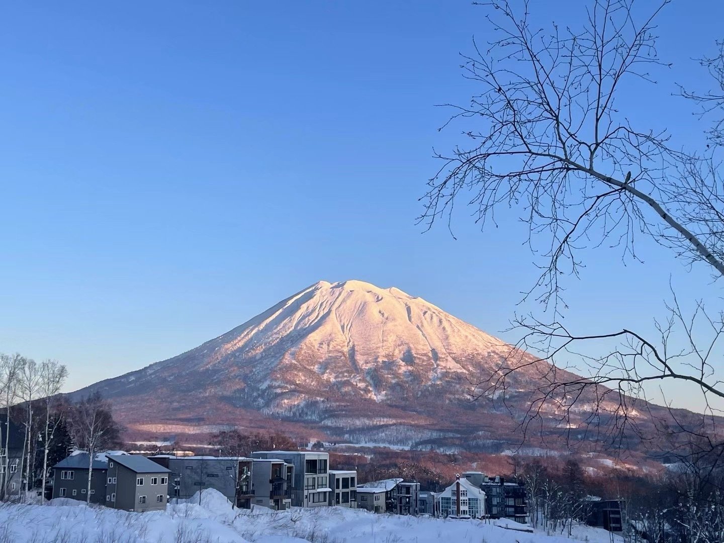 羊蹄山美景