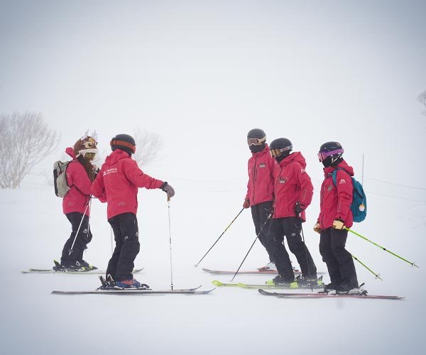 Pinnacle粉雪 樹林 進階技術|北海道二世古 Niseko|地形導覽